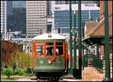 Charlotte trolley