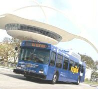 Santa Monica bus
